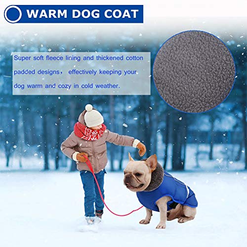QBLEEV Warm Dog Coat - Reflective & Waterproof Winter Jacket, Turtleneck Pet Clothes with Thick Fleece Lining for Small to Large Dogs - color: Blue, size: Medium