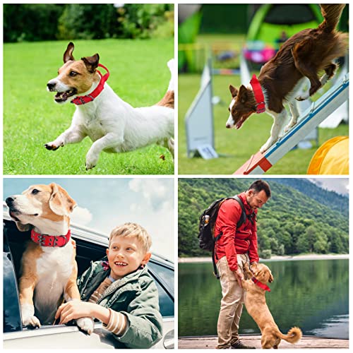 Reflective Dog Collar Heavy Duty Tactical with Control Handle and Metal Buckle for Dog Training(Large, Red) - color: Red, size: Large (Pack of 1)