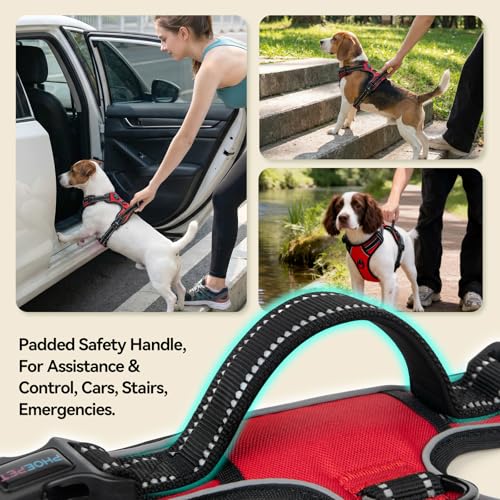 PHOEPET No Pull Dog Harnesses for Small Dogs Reflective Adjustable Front Clip Vest with Handle 2 Metal Rings 2 Buckles [Easy to Put on & Take Off](S, Red) - color: Red, size: Small