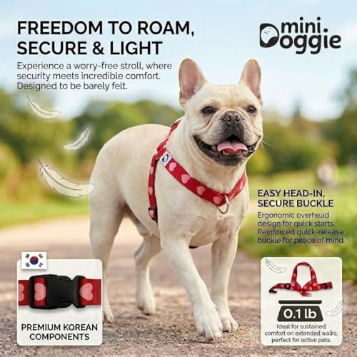 Heart Small Dog Harness – Soft Webbing, Front & Back Clip, No-Pull Design, Lightweight (Red, Medium) - color: Red, size: Medium