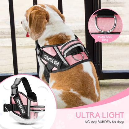 Service Dog Vest Harness and Leash Set, Animire in Training Dog Harness with 10 Dog Patches, Reflective Dog Leash with Soft Padded Handle for Small, Medium, Large, and Extra-Large Dogs - color: Pink, size: XXS