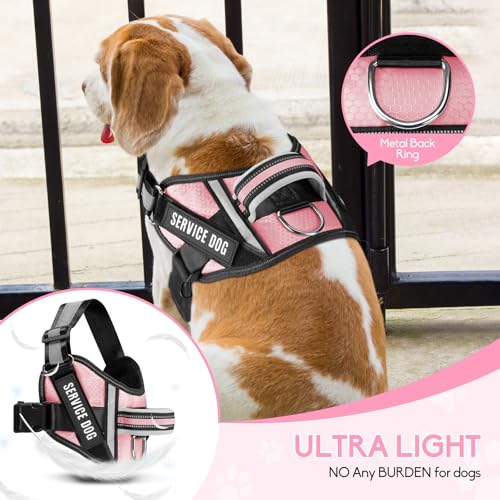 Service Dog Vest Harness and Leash Set, Animire in Training Dog Harness with 10 Dog Patches, Reflective Dog Leash with Soft Padded Handle for Small, Medium, Large, and Extra-Large Dogs(Pink,S) - color: Pink, size: S