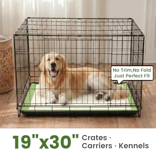 Gardner Pet Pee Pads for Dogs 19"X30" with Adhesive 10 Count, Large Disposable Dog Pee Pads, Non-Slip Puppy Training Pads for Crate/Cage/Carrier - size: 19"x30"(10Ct)