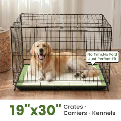 Gardner Pet Pee Pads for Dogs 19"X30" with Adhesive 10 Count, Large Disposable Dog Pee Pads, Non-Slip Puppy Training Pads for Crate/Cage/Carrier - size: 19"x30"(10Ct)