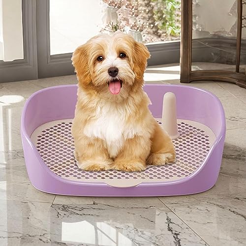 Dog Toilet Training Potty Tray, Pet Pan Bedpan Training Pads Holder Training Pad Toilet Potty Trainer for Small Animals, Home, Puppy, Purple 40x30x11cm - color: Purple 40x30x11cm