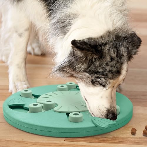 Outward Hound by Nina Ottosson Dog Worker Treat Puzzle Enrichment Toy, Level 3 Advanced, Green - color: Dog Worker (Green)