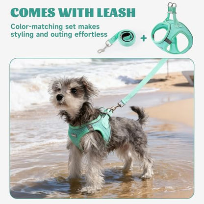 Dog Harness Small Sized and Leash Set, Step in Soft Light Puppy Vest, Breathable Mesh Pet Harness, Reflective for Safe Easy Walking. - color: Blue, size: Small (Pack of 1)