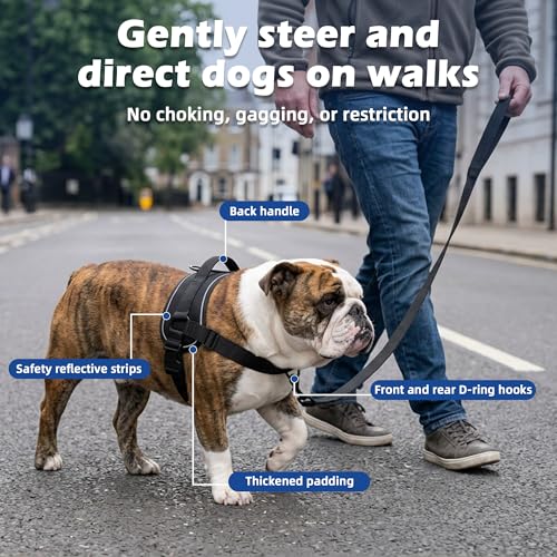 No Pull Dog Harness, Upgraded Padded No-Choke Pet Vest with Front and Back Clips, Effortless Walking Adjustable Dog Gear with Traffic Handle and Reflective Straps for Training (Black,XL) - size: XL