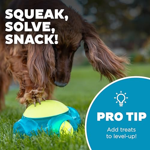 Outward Hound Tennis Maze Craze Interactive Squeaky Dog Toy, Blue - color: Blue Tennis Maze Craze, size: One-Size, style: Single