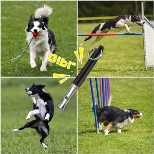 6 Pack Dog Whistle with Lanyard Stop Neighbors Dog from Barking Adjustable Ultrasonic Silent Dog Whistles Professional Dog Training Whistle for Dog Daily Training - color: Colorful