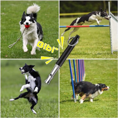 6 Pack Dog Whistle with Lanyard Stop Neighbors Dog from Barking Adjustable Ultrasonic Silent Dog Whistles Professional Dog Training Whistle for Dog Daily Training - color: Colorful