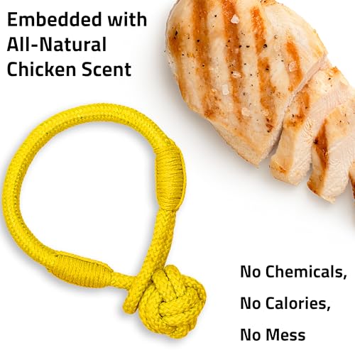 Playology Dog Toys | Tough Tug Knot for Puppies and Young Dogs | Chicken Scented Medium Chew Toy Tug Rope | Tug of War Puppy Essentials - size: Medium, style: Chicken