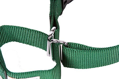 GOGO Pet Products 3/8-Inch Martingale Dog Collar, X-Small, Hunter Green - color: Hunter Green, size: Xsmall (3/8" web width)