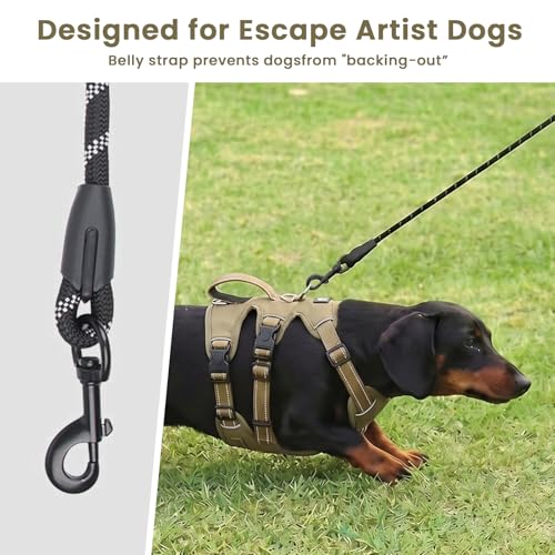 Escape Proof Dog Harness and Leash Set,Soft Padded Full Body Pet Harness, No Pull Reflective Adjustable Dog Vest with Handle, Easy Control Dog Harness for Medium Large Dogs Training Walking Running - color: Khaki, size: M