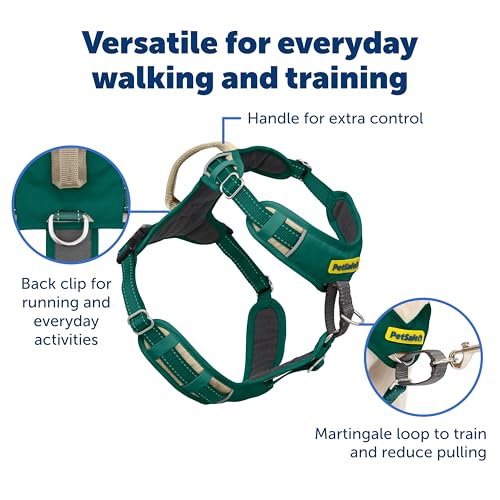 PetSafe Easy Walk Comfort No-Pull Dog Harness Full-Body Padding - Better Walks on the First Use - 5 Points of Adjustment Small, Green - color: Green, size: Small