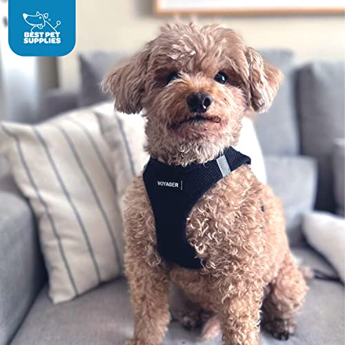 Best Pet Supplies - All Weather Mesh / Plush, Reflective, No Pull Harness for Small, Medium Dogs, Cats - Secure with Hook & Loop Fastener, Buckle, Double D-Rings - Black/Black Trim, S - color: Harness (Black/Black Trim), size: S (Chest: 14.5 - 16")