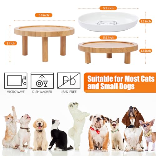 Lusifaco Shallow Elevated Cat Bowls,5.9 Inch Wide Raised Ceramic Cat Dishes with Bamboo Stand, Whisker Friendly Pet Water or Food Plates Feeding Station for Indoor Cats, Kitten(Green,Set of 2) - color: Green