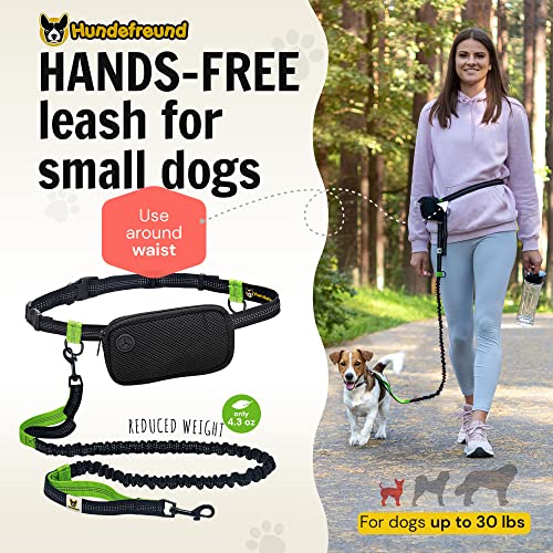 Hundefreund Hands-Free Dog Leash for Small Dogs 10 to 30 lbs - Lightweight Waist Leash with Bungee (43–63"), Padded Belt (26–47") & Pouch – Dual Handles, Reflective Stitching for Walking & Jogging