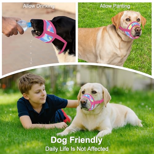 Dog Muzzle with Escape-Proof Elastic Neck Collar, Soft Breathable Air Mesh Mouth Cover Stops Biting Barking Chewing Allows Drinking Panting, Adjustable Muzzle for Small Medium Large Dogs - color: Pink/Blue, size: M