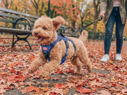 Tuff Pupper Escape Proof No Escape Dog Harness | 5 Point Adjustable Fit Harness for Dogs | Padded Dog Harnesses | Handle Dog Lift Harnesses - color: Midnight Blue, size: X-Small: 13-17 Inch Chest