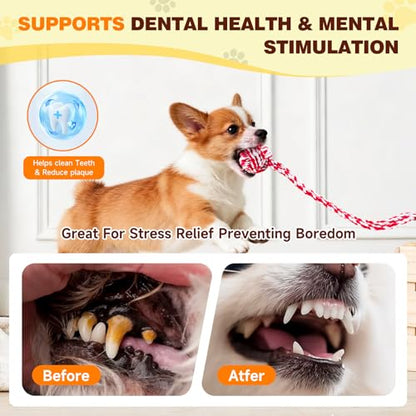 Interactive Dog Toy with Suction Cup, Rope Ball & Built-in Bell, Red White | Tug-of-War Interactive Play|Supports Puppy Teething & Healthy Chewing|Designed for Small Dogs|Solo Indoor Enrichment Toy - color: Red White(with Built-in Bell)