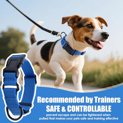 Martingale Dog Collar, Reflective No Pull Training Collar with Quick Release Buckle, Adjustable Heavy Duty Nylon Choker Collars for S M L Dogs (Blue, S (1" x 12"-15.8")) - color: Blue, size: S (1" x 12"-15.8")