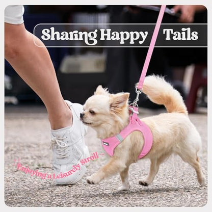 rabbitgoo Dog Harness Small Sized and Leash Set, Step in Soft Light Puppy Vest, Breathable Mesh Pet Harness, Reflective for Safe Easy Walking, Light Pink XXS - color: Light Pink, size: Xxs (chest: 12.4 - 14.2")