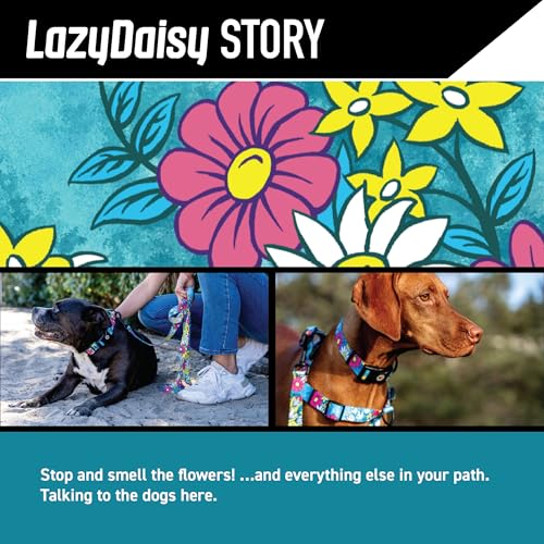 Wolfgang Heavy Duty, Adjustable Dog Collar with Quick Release Nylon Buckle for Walking & Training, LazyDaisy Print, Small - color: LazyDaisy Print, size: Small (5/8 Inch x 8-12 Inch)