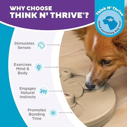 Outward Hound by Nina Ottosson Dog Worker Treat Puzzle Enrichment Toy, Level 3 Advanced, Tan - color: Dog Worker (Tan)