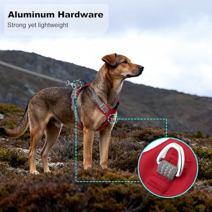 No Pull Dog Harness – Adjustable Reflective Nylon Vest for Small Medium Large Dogs, Escape Proof Training Harness with Leather Control Handle, Lightweight Aluminum Hardware (Red, S) - color: Red, size: S