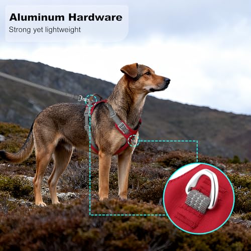 No Pull Dog Harness – Adjustable Reflective Nylon Vest for Small Medium Large Dogs, Escape Proof Training Harness with Leather Control Handle, Lightweight Aluminum Hardware (Red, XL) - color: Red, size: XL