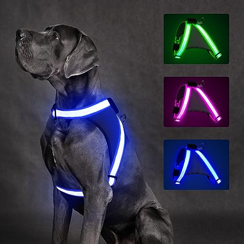 ChalkLit Light Up Dog Harness, No Pull Led Dog Harness Glow-in-The-Dark for Night Walking, USB Rechargeable Lighted Safety Vest for Small Dogs, Adjustable Soft Mesh Fully Illuminated (Blue, Small) - color: Blue, size: Small