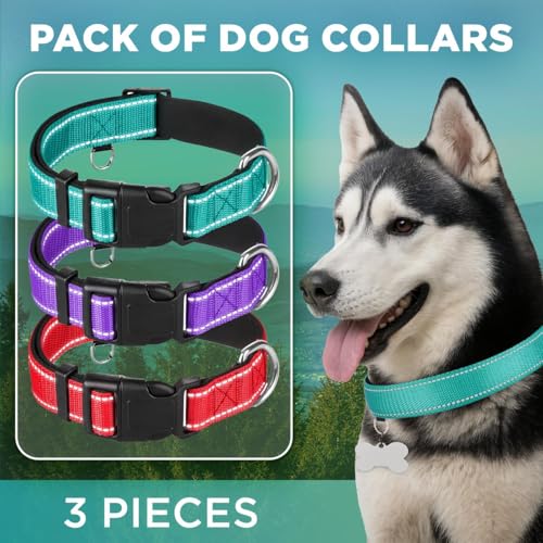 TECEUM 3 Pack Reflective Dog Collar – Purple&Red&Teal – M – Extra Soft Padding – Basic Nylon Pet Collar - color: Purple&Red&Teal, size: Medium