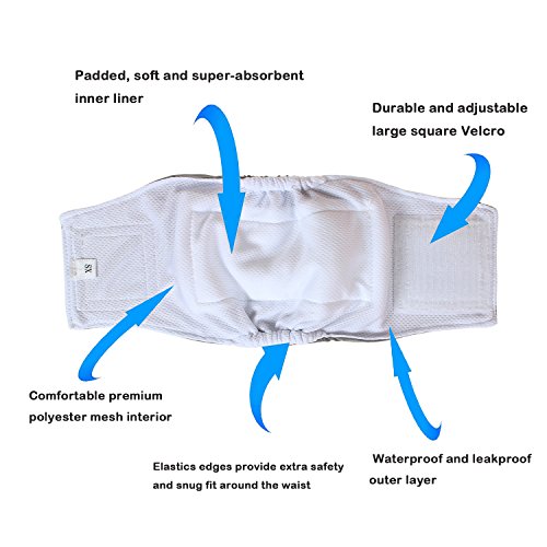 Teamoy Male Dog Belly Bands Washable 4-Pack, Reusable Dog Diapers Wraps for Incontinence & Marking (XS,7"-9" Waist) - size: XS(7"-9"Waist)