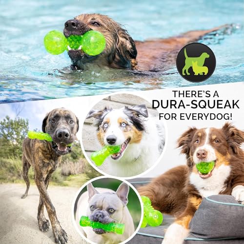 Hyper Pet DuraSqueak Dog Ball Toy, Interactive, Floats, Squeaks, Dog Balls for Fetching, Alternative to Traditional Tennis Balls - for All Breeds - size: 2.5 inch (2 Pack)