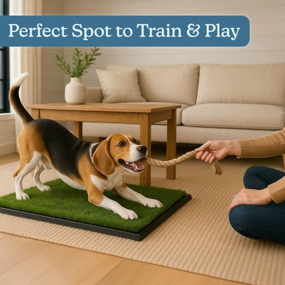 Artificial Grass Puppy Pee Pad for Dogs and Small Pets - 20x25 Inch, Reusable 3-Layer Turf Pads for Dogs with Tray - Indoor and Outdoor Fake Grass Potty Pet Supplies by PETMAKER - size: Medium 3-Layer System