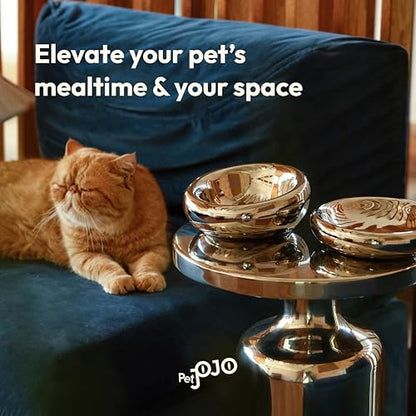 Pebble Pet Bowl Deep Chrome, Ergonomic Dog Cat Feeding Bowl, Flat-Faced Breed, Tilted Ceramic Pet Food Dish, Scooper Eater, Anti-Spill Design, Dishwasher Safe, Modern Pet Bowl, Dry & Wet Diet - color: Chrome