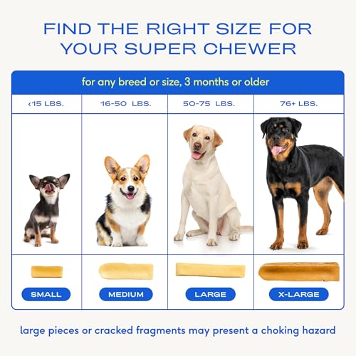 Native Pet Yak Cheese Himalayan Dog Chews - Long Lasting Dental Sticks for Small Breeds– 100% All Natural Himalayan Yak Chews for Small Dogs – Cheese Bone for Aggressive Chewers - 15 Per Pack - size: 15 Chews