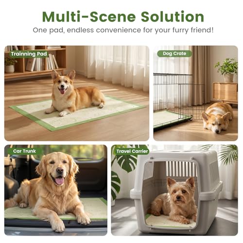 Gardner Pet Pee Pads for Dogs 19"X30" with Adhesive 10 Count, Large Disposable Dog Pee Pads, Non-Slip Puppy Training Pads for Crate/Cage/Carrier - size: 19"x30"(10Ct)