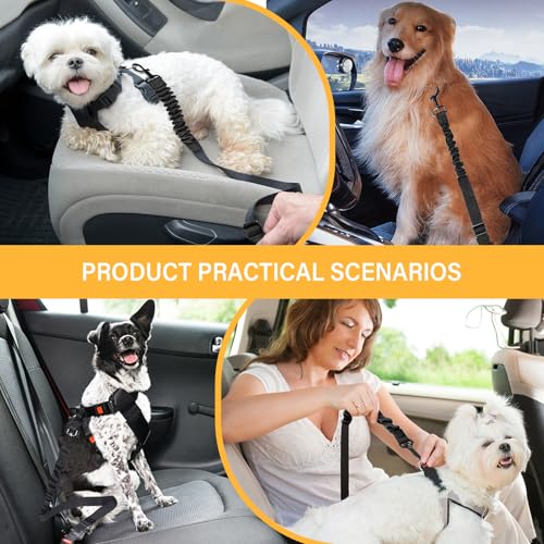Dog Seat Belt Retractable Dog Car Harness 2 Pack Adjustable Elastic Bungee Buffer Heavy Duty & Durable & 360 Degree Swivel. - color: Black-2Pack, size: 2Pack