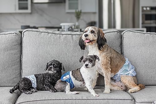 Pet Parents® Washable Belly Bands for Male Dogs (3pack) + Extendrs® of Durable Dog Diapers Male, Premium Male Dog Diapers & Dog Wraps (Small, Kahuna) - color: Kahuna, size: Small (13-16")