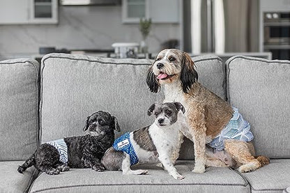 Pet Parents® Washable Belly Bands for Male Dogs (3pack) + Extendrs® of Durable Dog Diapers Male, Premium Male Dog Diapers & Dog Wraps (Small, Kahuna) - color: Kahuna, size: Small (13-16")