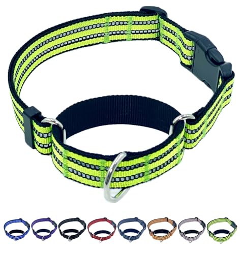 Martingale Dog Collars with Quick Release Buckle, Heavy Duty Nylon Reflective Dog Collar, NO Pull Walking Training Collar for Large, Medium, Small Dogs (Green, Extra Small) - color: Green, size: Extra Small