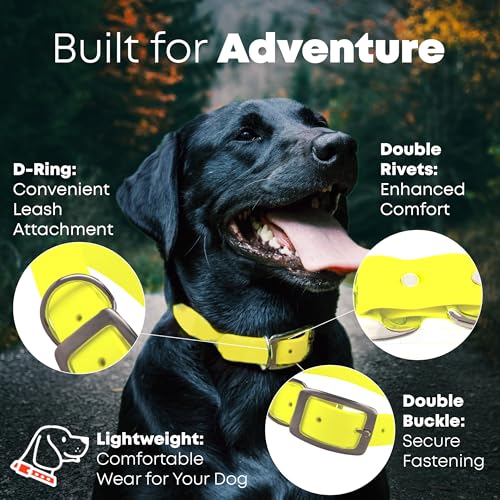 Regal Dog Products Medium Yellow Dog Collar with Heavy Duty Double Buckle & D Ring | Vinyl Coated, Custom Fit, Adjustable Biothane Dog Collar | Chew Resistant Waterproof Center-Ring Collar for Dogs - color: Yellow, size: Medium