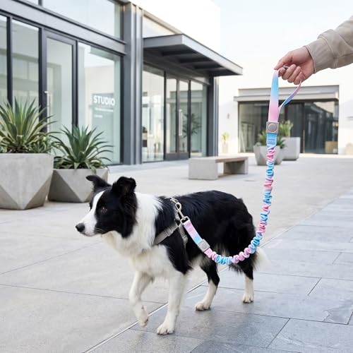 Dog Leash for Small to Medium Dogs, Shock Absorbing Dog Leashs, Dog Walking Leash, Dog Training Leashs, Ombre Color， 4-5.5 Feet(Pink-Blue Ombré) - color: Pink-Blue Ombré