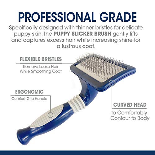Four Paws Magic Coat Professional Series Grooming Tools - Trimmers, Nail Clippers, and Brushes for Pets