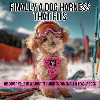 EcoBark Pink XXXS Dog Harness, Soft Mesh No Pull Mini Body Halter for Toy Breeds up to 10in, Escape Proof, Recycled Straps, Adjustable, Teacup Dog Harness Vest Under 5lbs - color: Pink, size: XXXS- 2 to 3 lbs- Chest up to 10 in (Pack of 1)