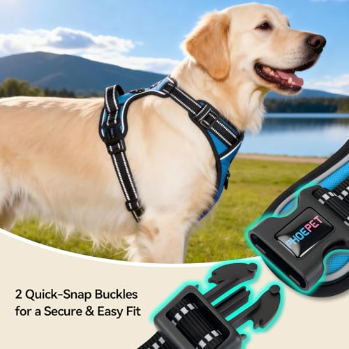 PHOEPET No Pull Dog Harnesses for Small Puppies Reflective Adjustable Front Clip Vest with 2 Metal Leash Attachment Hooks Soft Handle(S, Blue) - color: Blue, size: Small