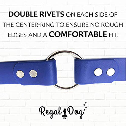 Regal Dog Products Medium Blue Dog Collar with Heavy Duty Double Buckle & D Ring | Vinyl Coated, Custom Fit, Adjustable Biothane Dog Collar | Chew Resistant Waterproof Center-Ring Collar for Dogs - color: Blue, size: Medium