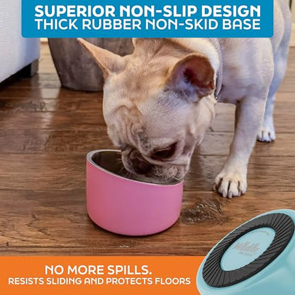 Master Pet Supply Stainless Steel Slanted Dog Cat Food Bowl - 8 oz Heavy Duty - Aqua Sky, Double Wall Insulated, Non-Slip Elevated Bowl for French Bulldogs Pugs Cats, Anti Rust Dishwasher Safe - color: Aqua Sky, size: 1 Cup (8 oz)